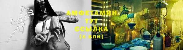ПСИЛОЦИБИНОВЫЕ ГРИБЫ Лабытнанги