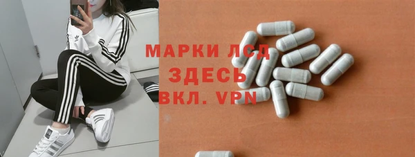 ПСИЛОЦИБИНОВЫЕ ГРИБЫ Лабытнанги