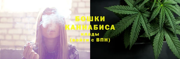 ПСИЛОЦИБИНОВЫЕ ГРИБЫ Лабытнанги
