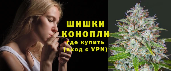 ПСИЛОЦИБИНОВЫЕ ГРИБЫ Лабытнанги