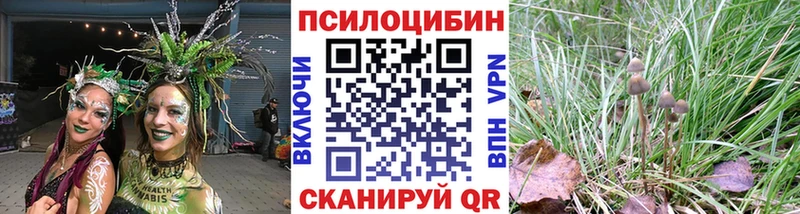 блэк спрут сайт  Хадыженск  Галлюциногенные грибы MAGIC MUSHROOMS 